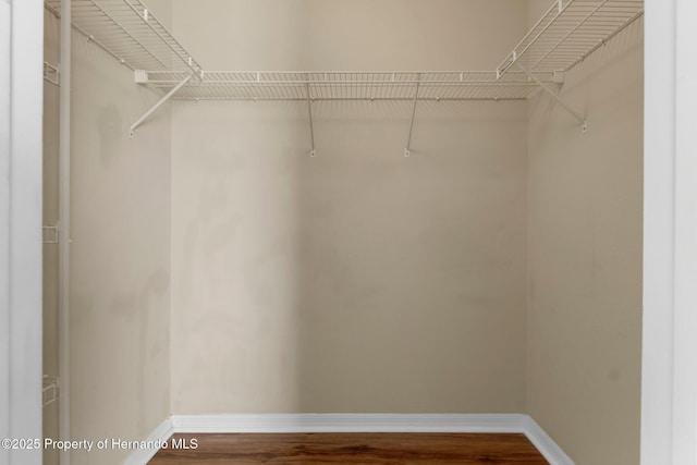 walk in closet featuring wood finished floors