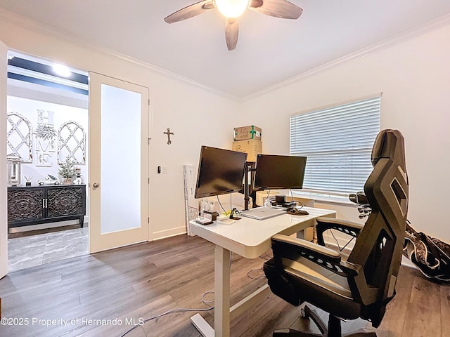 office space featuring wood finished floors, a ceiling fan, and crown molding