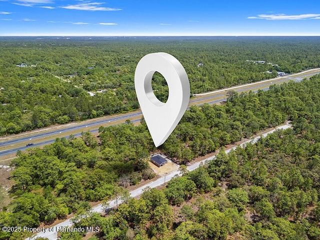 18082 Parakeet Rd, Weeki Wachee, FL 34614 - bird's eye view of a forest