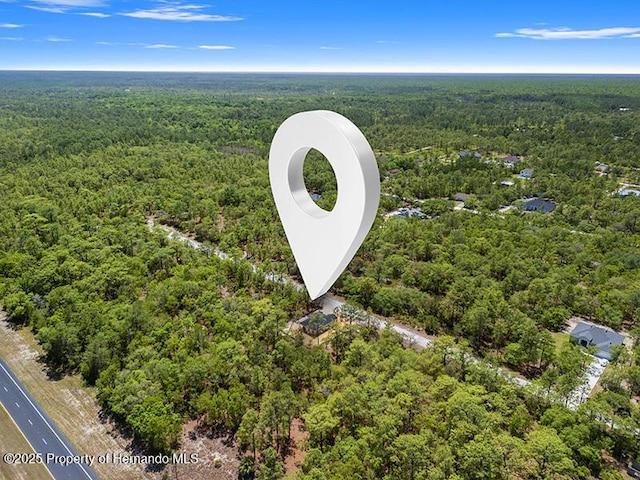 18082 Parakeet Rd, Weeki Wachee, FL 34614 - exterior view of a wooded view