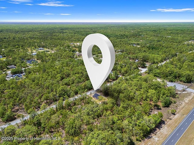 18082 Parakeet Rd, Weeki Wachee, FL 34614 - exterior view of a wooded view