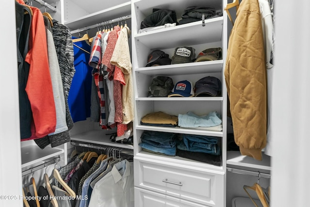 view of spacious closet