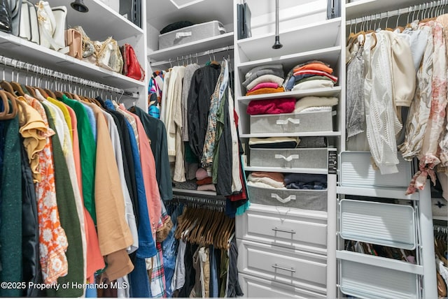 view of spacious closet