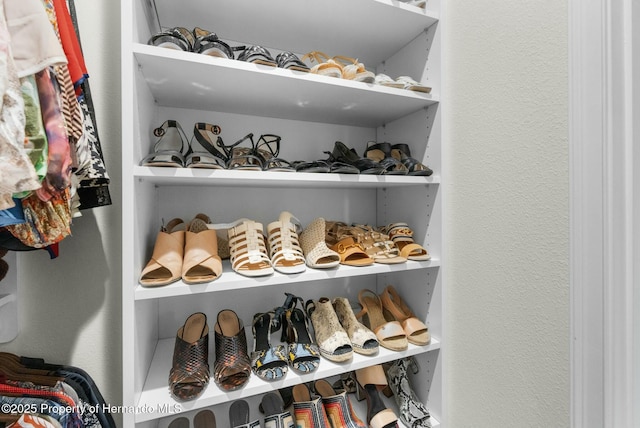 view of spacious closet