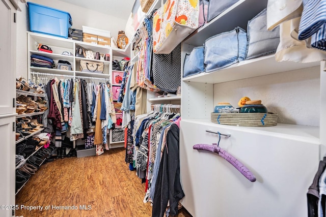 walk in closet with light wood-style floors