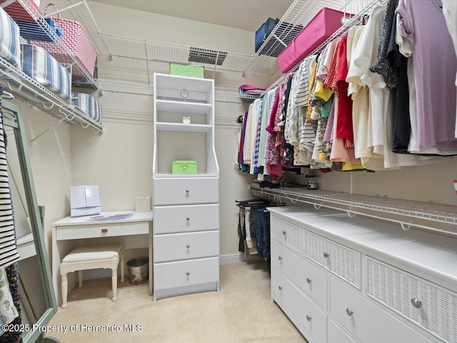 spacious closet with light colored carpet