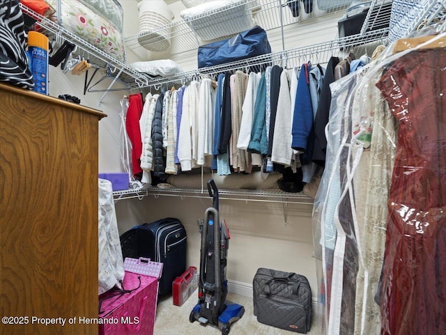 walk in closet featuring carpet flooring