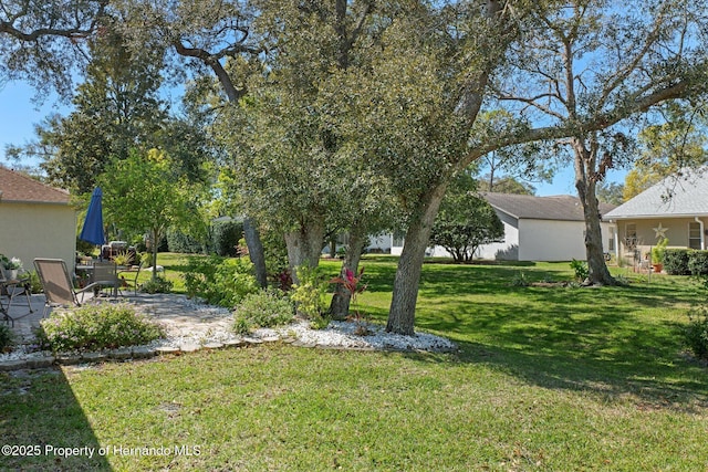 view of yard with a patio