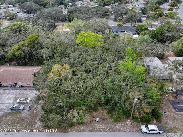 0 Sylvia Ave, Spring Hill, FL 34606