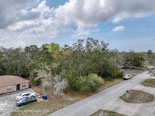 0 Sylvia Ave, Spring Hill, FL 34606