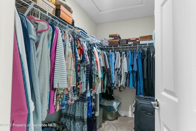 spacious closet with carpet and attic access