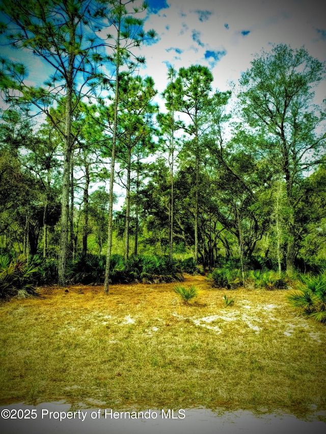 18235 Parakeet Rd, Weeki Wachee FL, 34614 land for sale