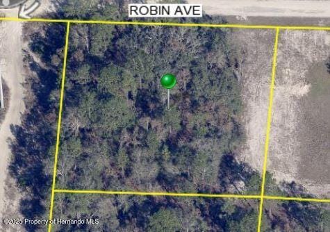 LOT1 Robin Ave, Weeki Wachee FL, 34614 land for sale