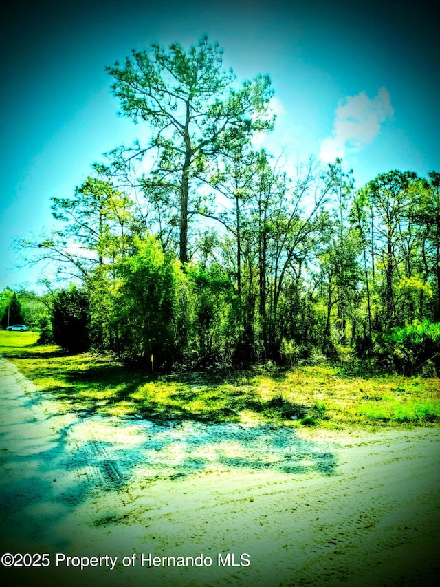 Listing photo 2 for LOT1 Robin Ave, Weeki Wachee FL 34614