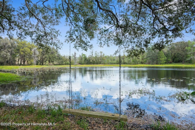 Listing photo 2 for 0 Pumpkin Path, Brooksville FL 34602