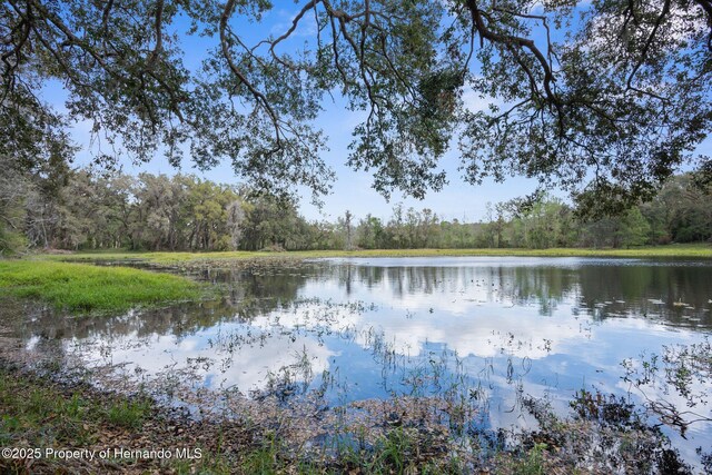 0 Pumpkin Path, Brooksville, FL 34602 - photo 4