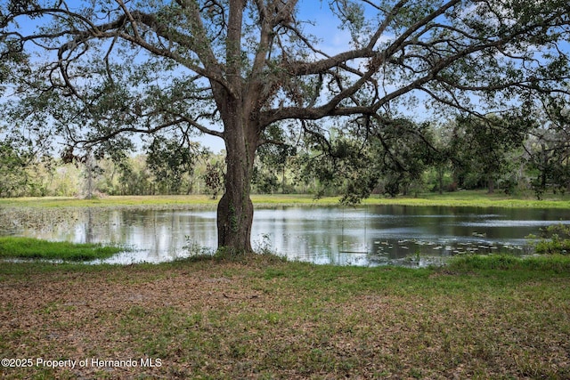 0 Pumpkin Path, Brooksville, FL 34602 - photo 5