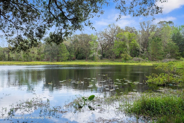 0 Pumpkin Path, Brooksville, FL 34602 - photo 6