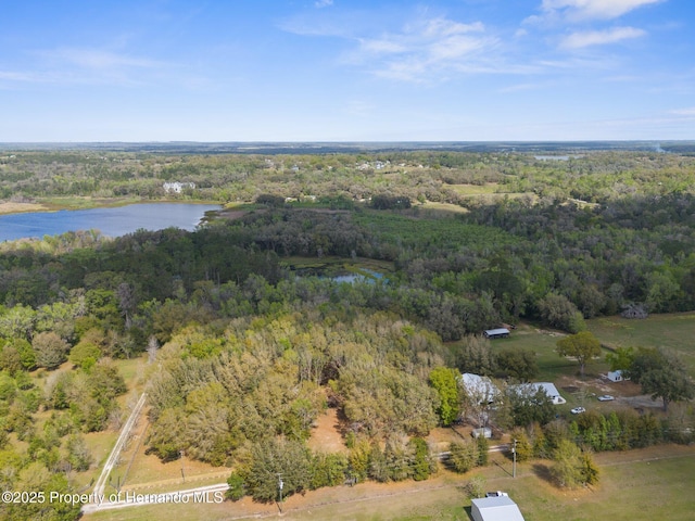 0 Pumpkin Path, Brooksville, FL 34602 - photo 7