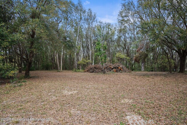 0 Pumpkin Path, Brooksville, FL 34602 - photo 8