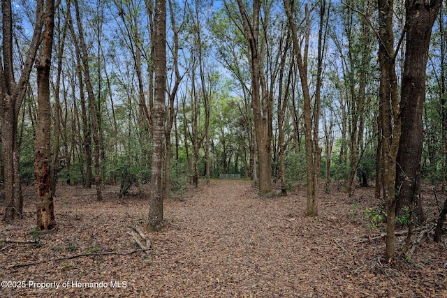 0 Pumpkin Path, Brooksville, FL 34602 - photo 9