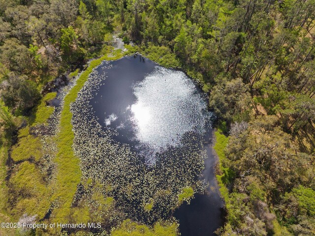 0 Pumpkin Path, Brooksville, FL 34602 - photo 11