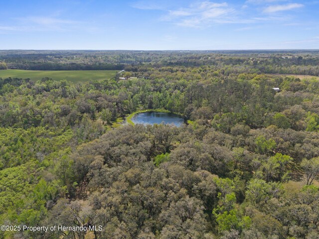 0 Pumpkin Path, Brooksville, FL 34602 - photo 13