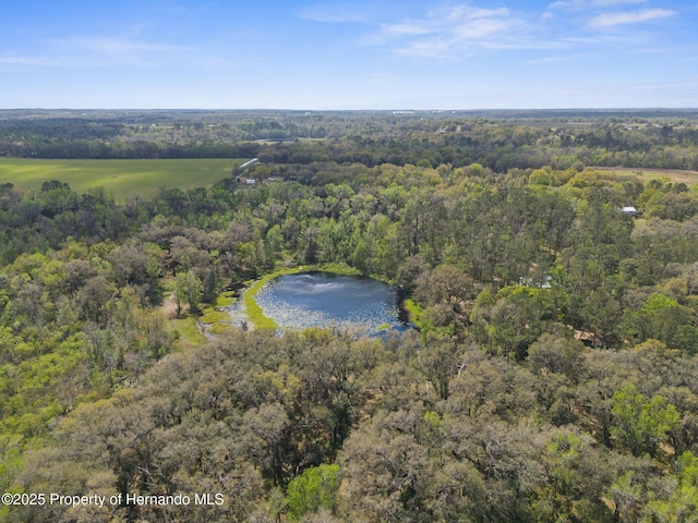 0 Pumpkin Path, Brooksville, FL 34602 - photo 14