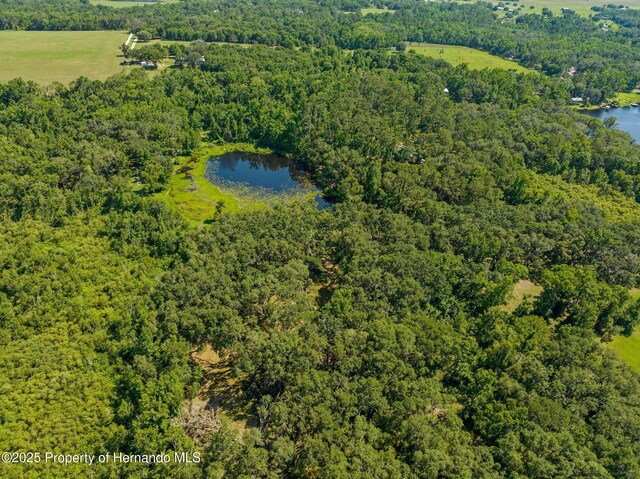 0 Pumpkin Path, Brooksville, FL 34602 - photo 20