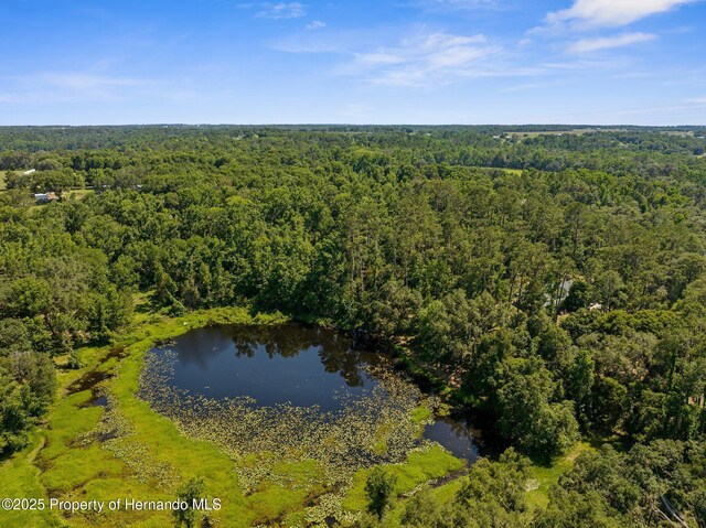 0 Pumpkin Path, Brooksville, FL 34602 - photo 21