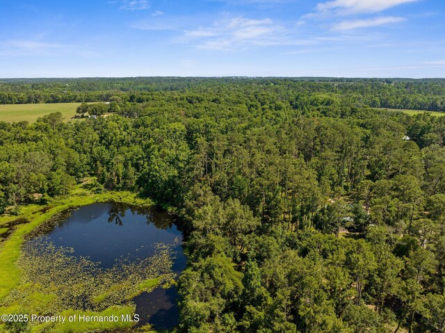 0 Pumpkin Path, Brooksville, FL 34602 - photo 22