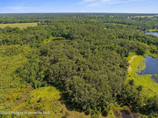 0 Pumpkin Path, Brooksville, FL 34602 - photo 24