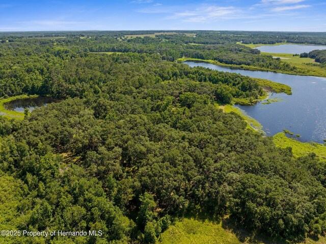 0 Pumpkin Path, Brooksville, FL 34602 - photo 25