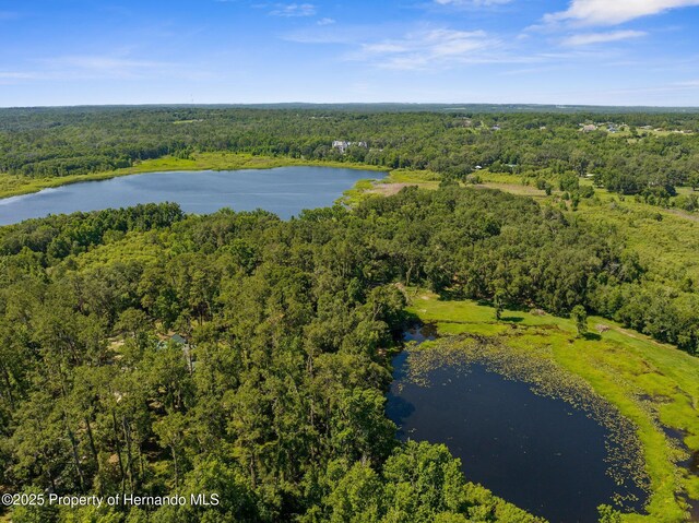 0 Pumpkin Path, Brooksville, FL 34602 - photo 26