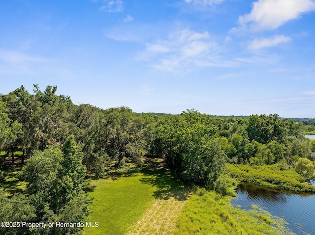 0 Pumpkin Path, Brooksville, FL 34602 - photo 27