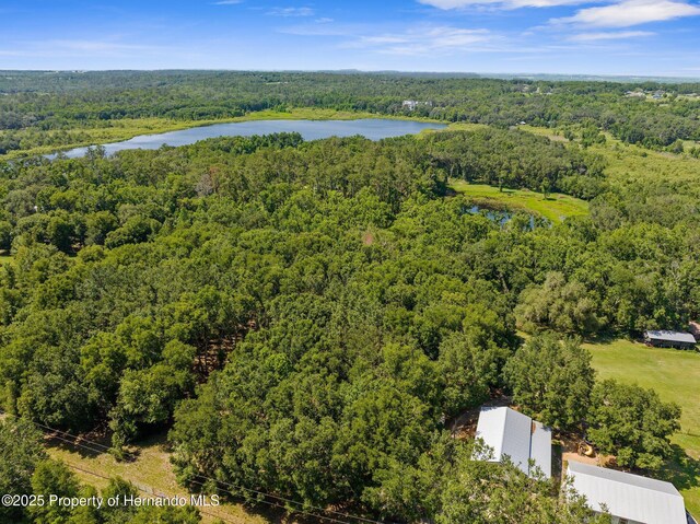 0 Pumpkin Path, Brooksville, FL 34602 - photo 29