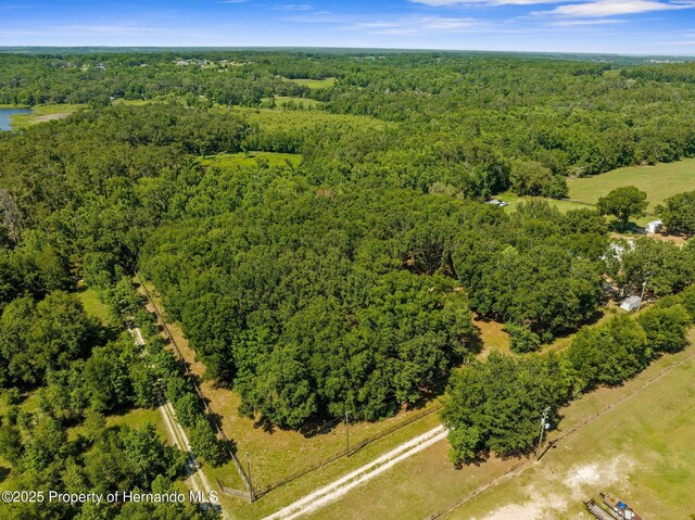 0 Pumpkin Path, Brooksville, FL 34602 - photo 30