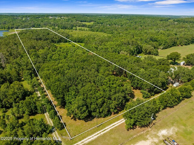 0 Pumpkin Path, Brooksville, FL 34602 - photo 31