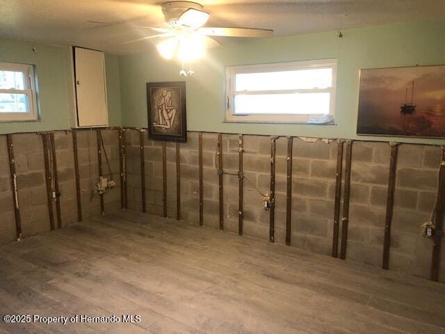 basement with ceiling fan, a wainscoted wall, and wood finished floors