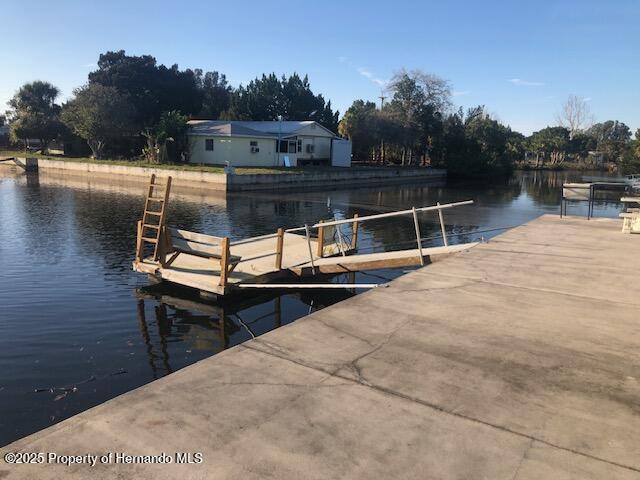 dock area with a water view