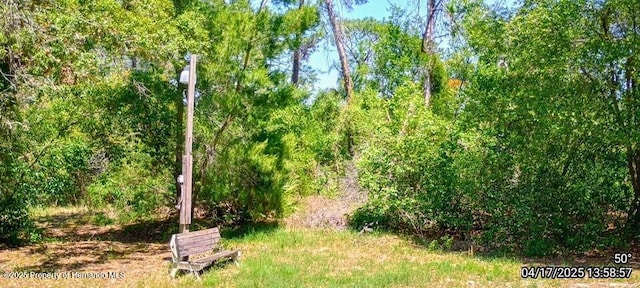 12437 Drayton Dr, Spring Hill, FL 34609 - view of nature