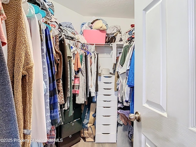 spacious closet with wood finished floors