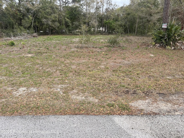 Listing photo 3 for 0 Simmons, Brooksville FL 34613