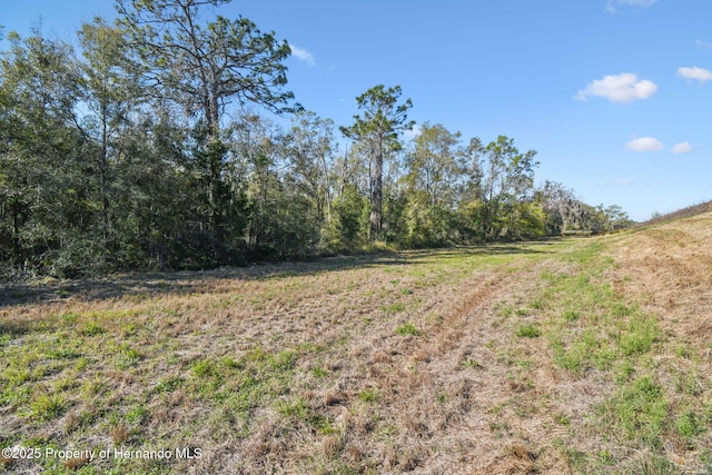 Listing photo 3 for 14220 Bailey Hill Rd, Brooksville FL 34614