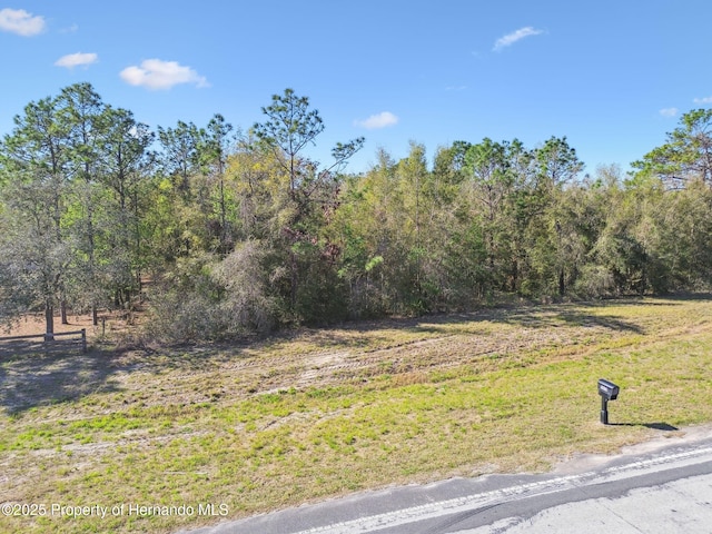 14220 Bailey Hill Rd, Brooksville FL, 34614 land for sale