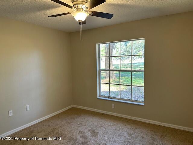 carpeted spare room with a textured ceiling and baseboards