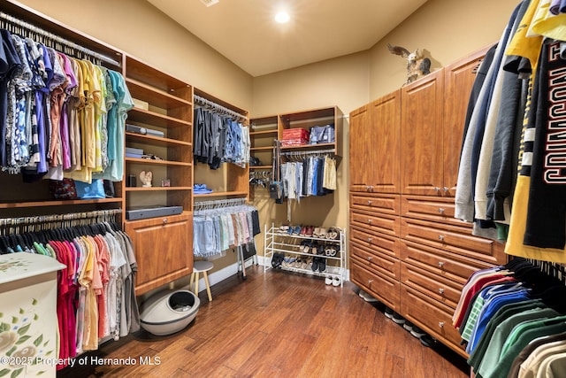 walk in closet featuring dark wood-type flooring