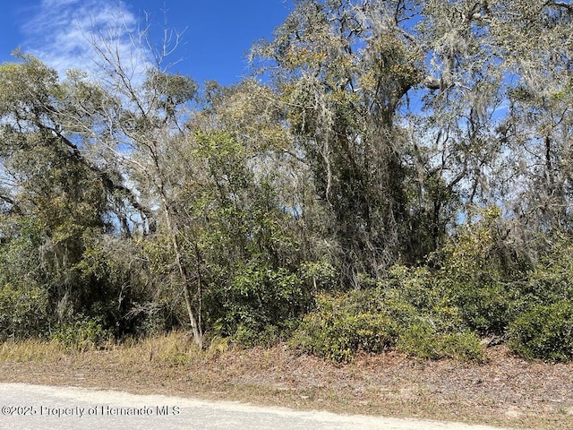 LOT26 Riverstone St, Webster FL, 33597 land for sale