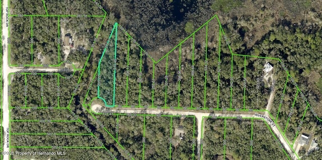 Listing photo 3 for LOT26 Riverstone St, Webster FL 33597