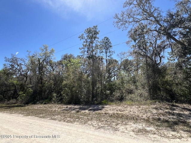 LOT32 NW Ave, Webster FL, 33597 land for sale